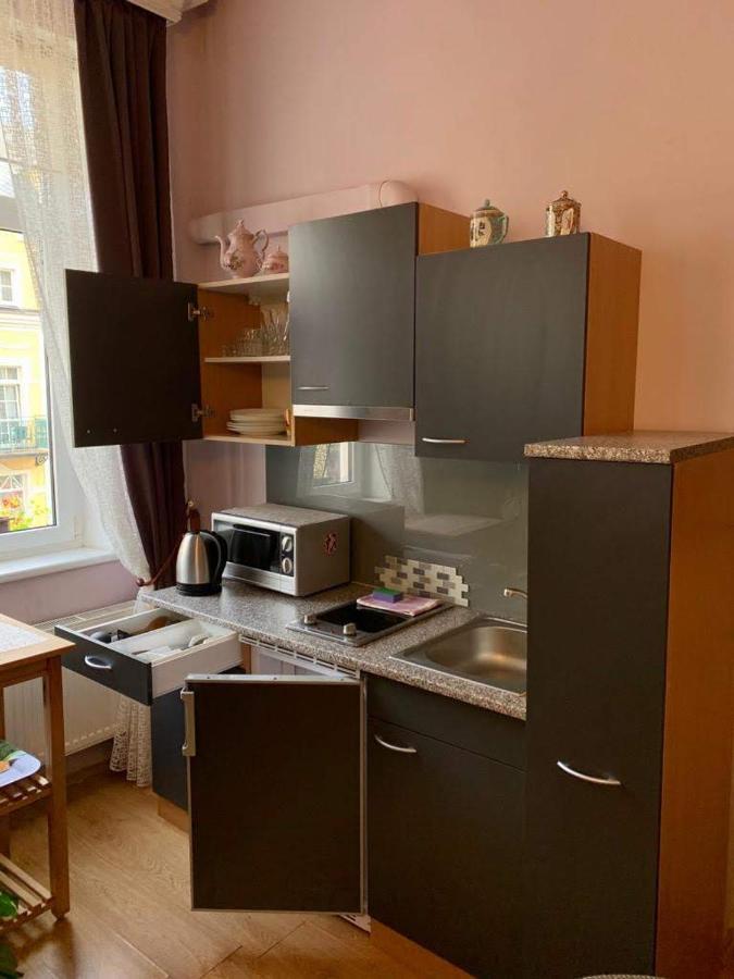 Apartmany U Barci Františkovy Lázně المظهر الخارجي الصورة